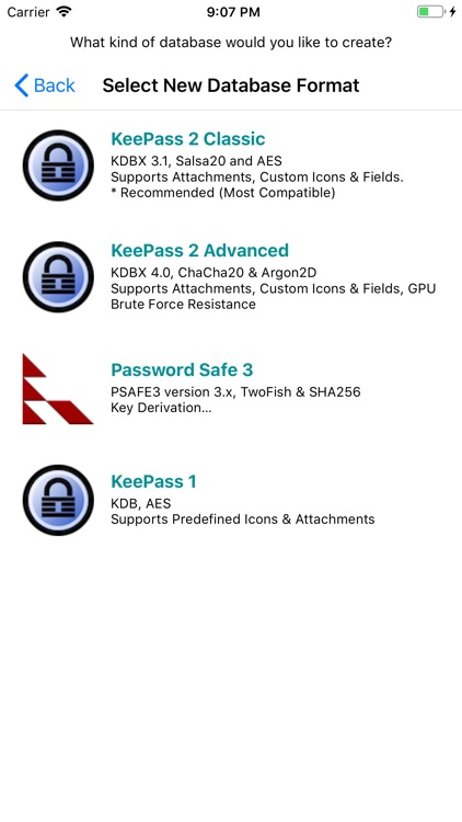 Strongbox Password Safe screenshot-8