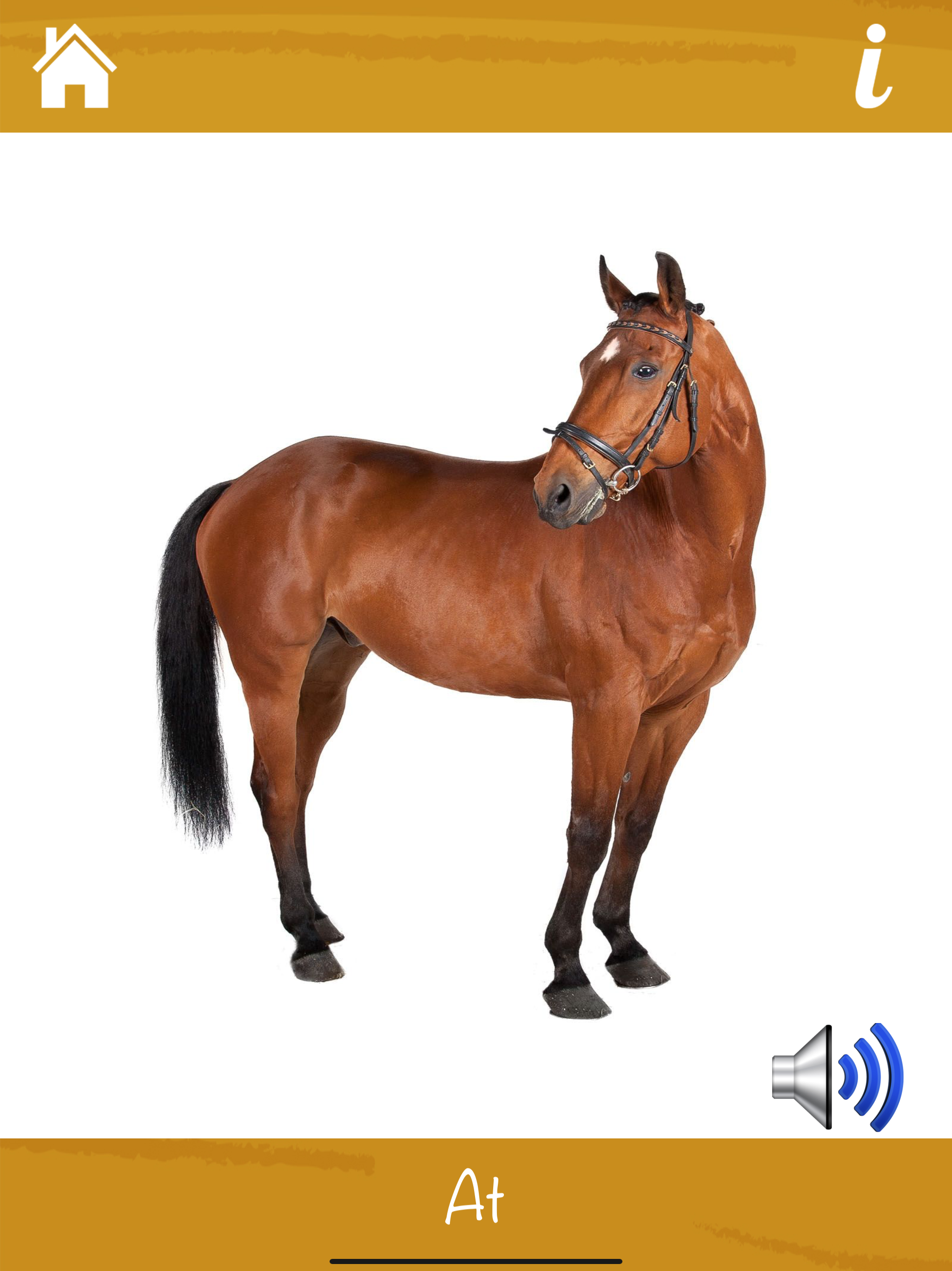 Learn Animals and Sounds screenshot 14