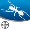 Bayer Pest Portal