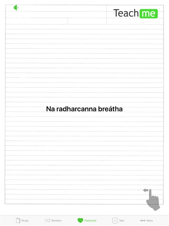 Teach Me Irish Gaelic iPad screenshot