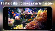 Akvarium Live HD iphone bilder 1