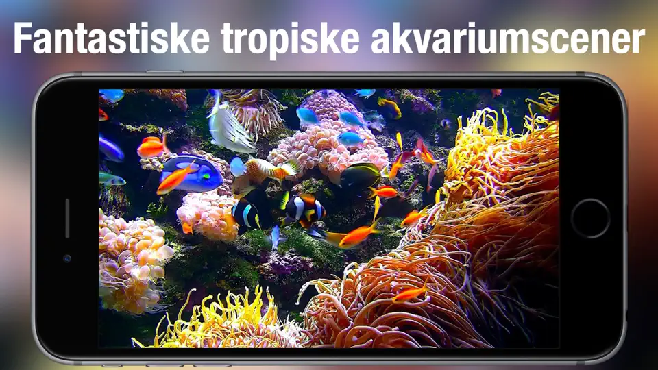 Akvarium Live HD iPhone-skjermbilde 2
