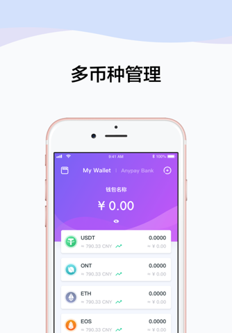 Anypay screenshot 2