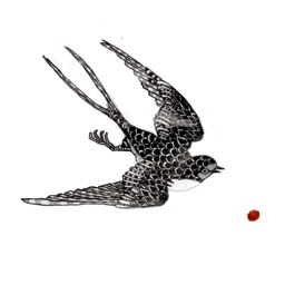 Fair Winds & Following Seas