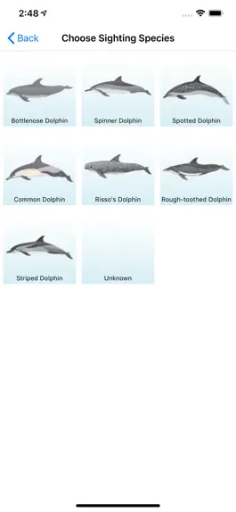 Game screenshot Whale and Dolphin Tracker apk