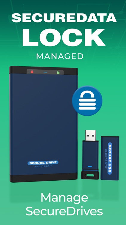 SecureData Lock Managed