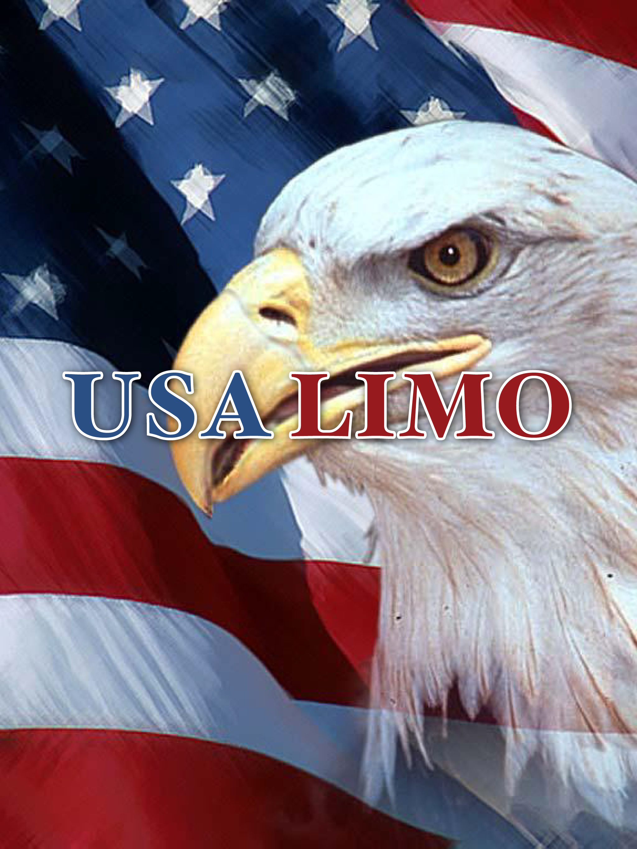 USA Limo & Car Service screenshot 10