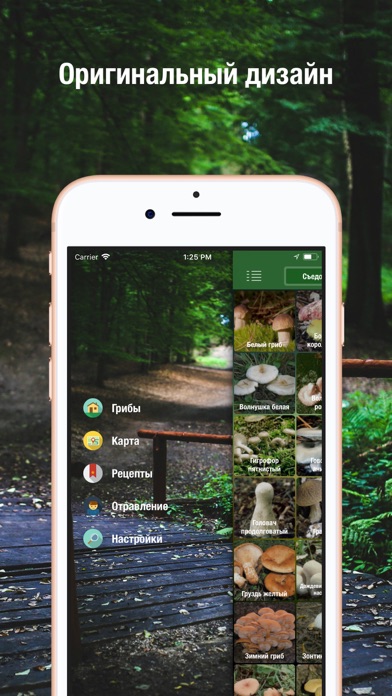 iГрибник: Грибы всего мира Screenshot
