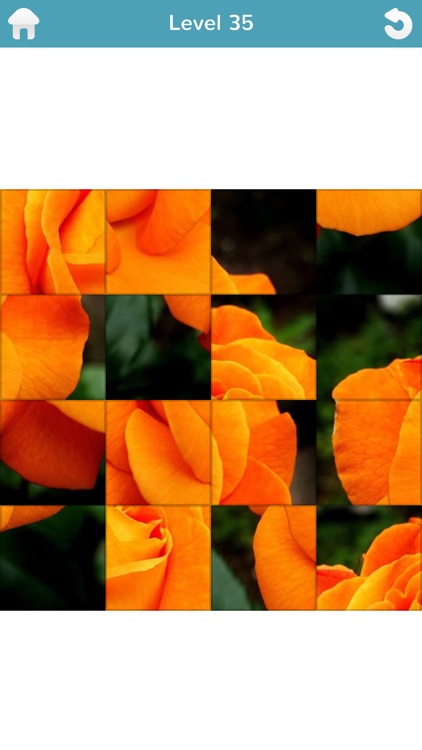 101 Puzzle Pix screenshot-5
