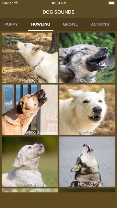 How to cancel & delete Dog Sounds - Collection from iphone & ipad 3