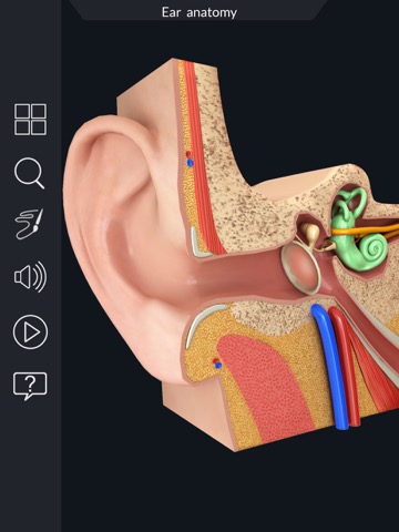 My Ear Anatomyのおすすめ画像1