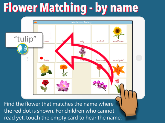 Learn Botany - Parts of Plants iPad screenshot