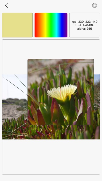 极简派之工具箱-小工具合集