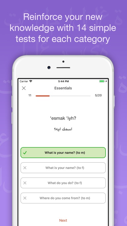 Easy Egyptian Arabic screenshot-4