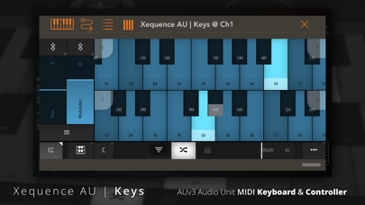 Screenshot #1 pour Xequence AU | Keys