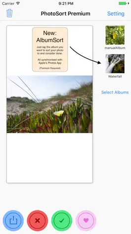 Game screenshot PhotoSort hack