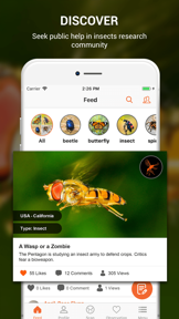 Insect identifier by photo screenshot