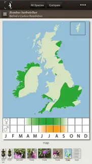 british & irish bumblebees iphone screenshot 4