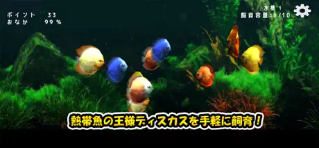 ディスカスミュージアム