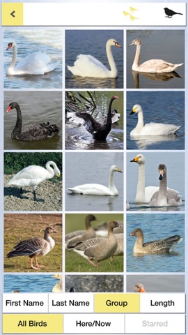 Birds of Britain Pocket Guideのおすすめ画像2