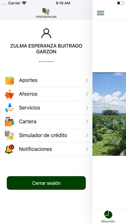 Fonfedepalma screenshot-3