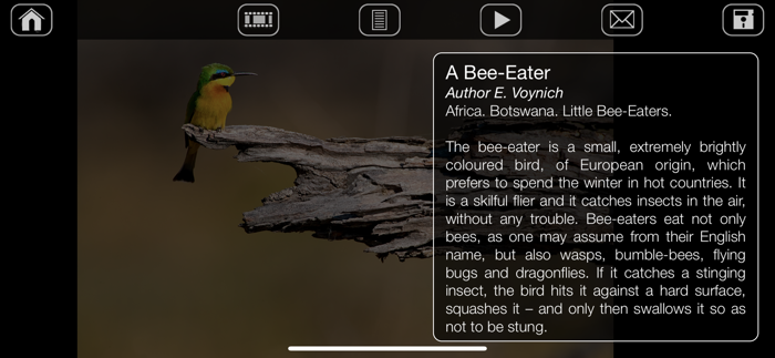 Africa. Wild animals.