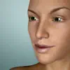 Face Model -posable human head contact information