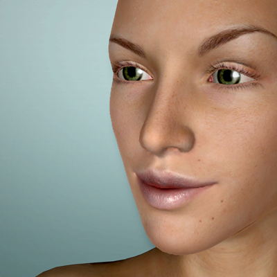 Face Model -posable human head