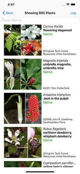 Game screenshot West Virginia Wildflowers apk