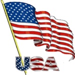 Download I Love The American Flag Icon app