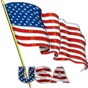 I Love The American Flag Icon app download