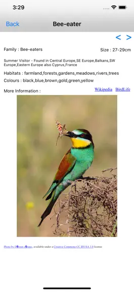 Game screenshot Birds Of Europe apk
