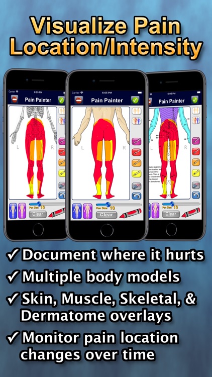 Chronic Pain Tracker Lite screenshot-1