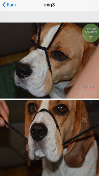 first aid for dogs K9のおすすめ画像9