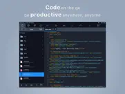 koder code editor ipad images 3