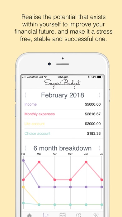 Sugar Budget Screenshot
