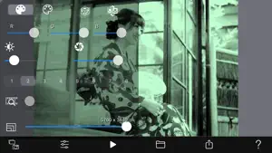 Two-Tone Video Camera screenshot 1