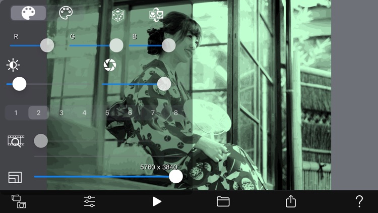Two-Tone Video Camera screenshot-0