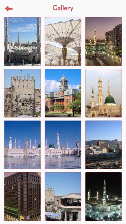 Medina Travel Guide screenshot-4