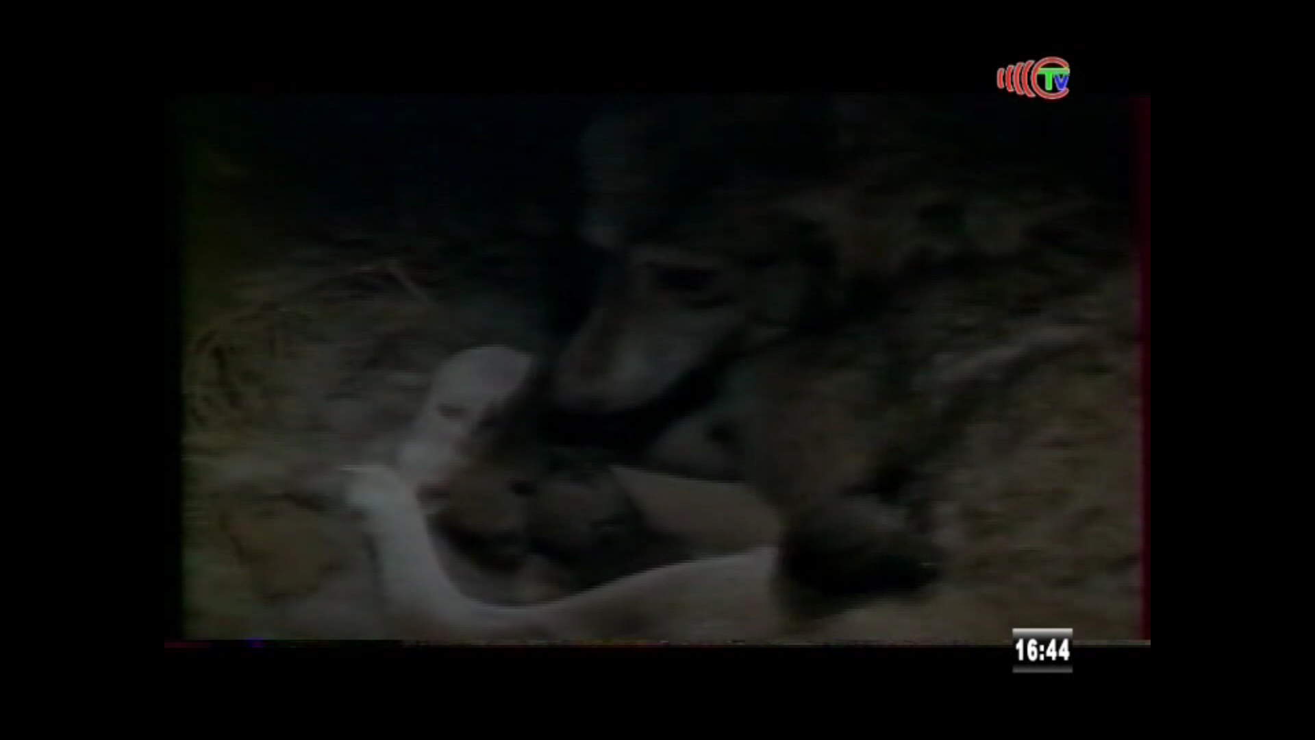 Télé Congo