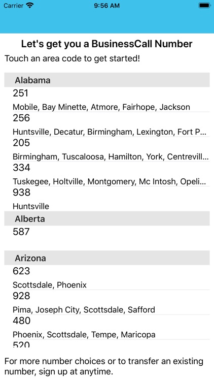 BusinessCall 2nd Line