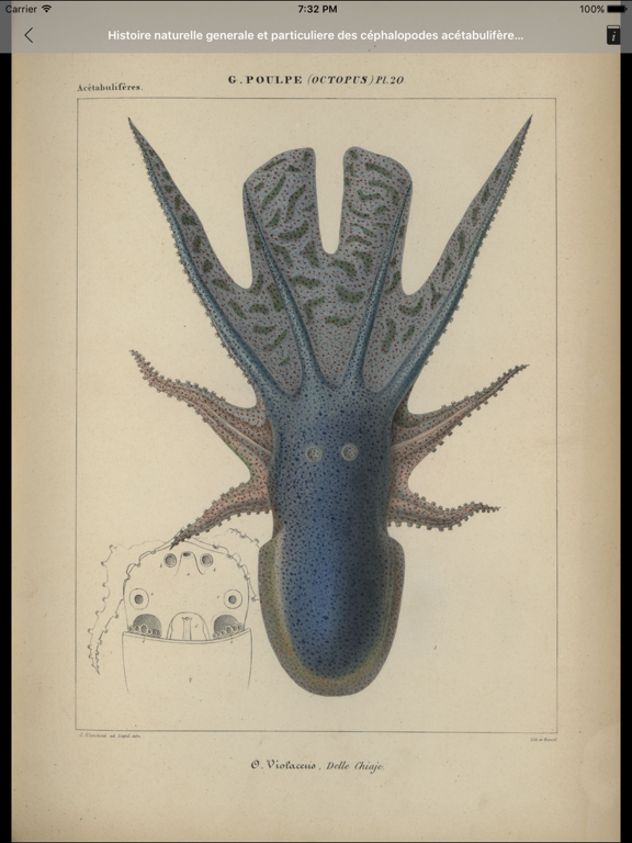 MAU M&L Natural History iPad screenshot 3 - Education app