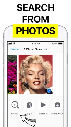 Reversee: Reverse Image Search screenshot 3