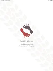leben atmen - istanbul ipad resimleri 1