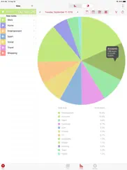 now then time tracking pro iPad Captures Décran 3