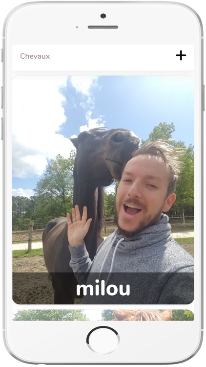 Rebecca Horse Working