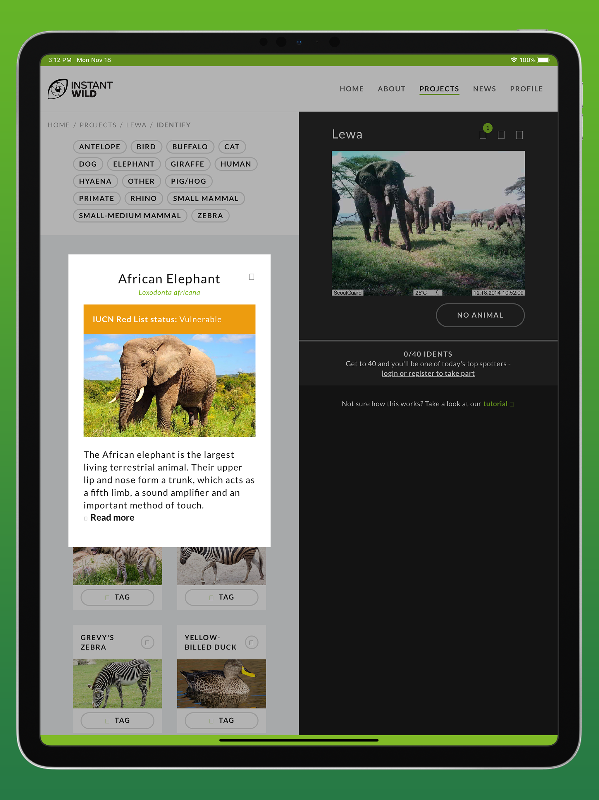 ZSL Instant Wild