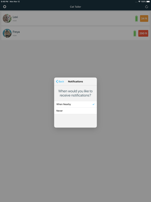 Cat Tailer iPad screenshot 5 - Lifestyle app