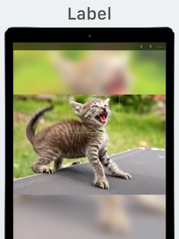 Screenshot #6 pour Lince