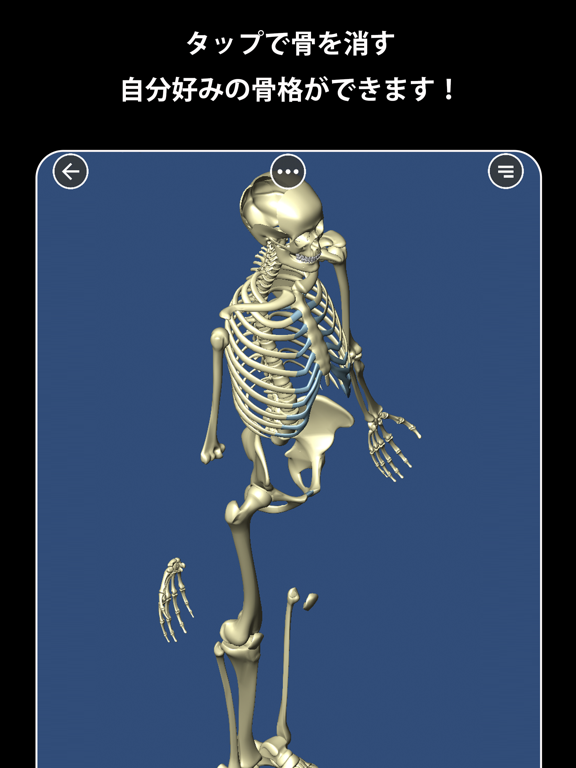 Screenshot #5 pour Bone (ボーン)